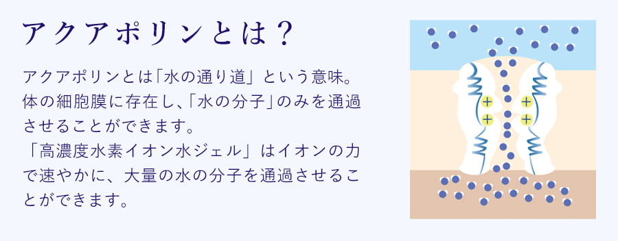 アクアポリンとは？アクアポリンとは「水の通り道」という意味。体の細胞膜に存在し、「水の分子」のみを通過させることができます。「高濃度水素イオン水ジェル」はイオンの力で速やかに、大量の水の分子を通過させることができます。